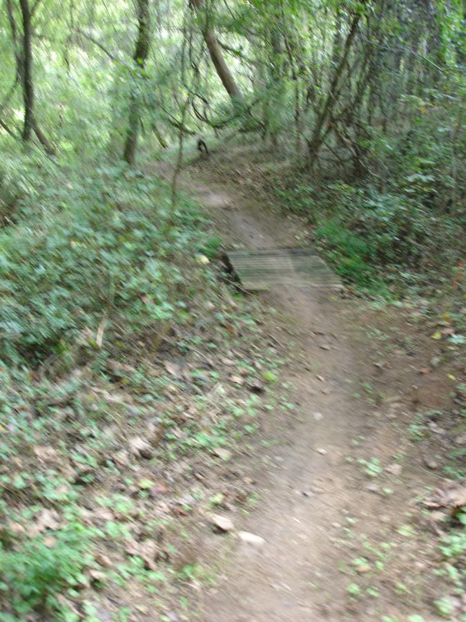 A narrow, dirt hiking trail winding through a lush, green forest. The path is bordered by dense foliage and small plants, with a wooden plank bridge visible crossing a small area along the trail. Signal Hill mountain bike trail.