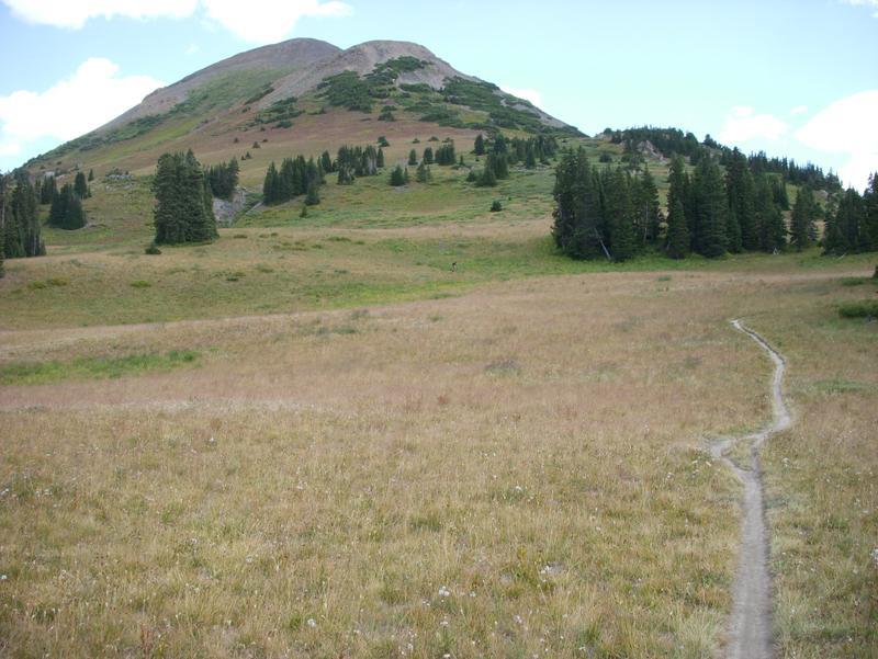 A scenic view of a grassy landscape leading to a grassy hill, dotted with scattered trees under a cloudy sky. A narrow dirt path winds through the field, guiding the viewer's eye towards the hill in the background. Trail 401 mountain bike trail.