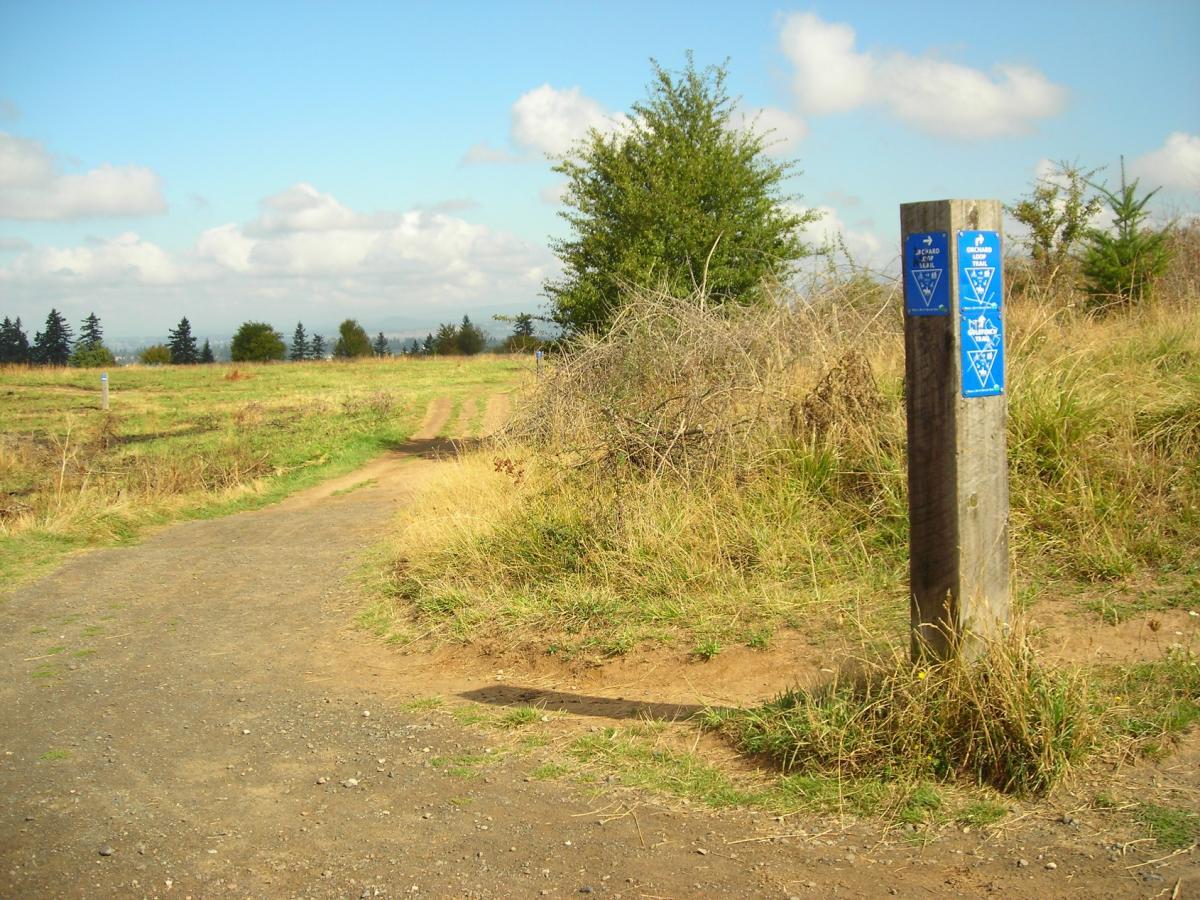 A dirt path winding through a grassy area, with blue trail markers attached to a wooden post on the right. The sky is partly cloudy, and trees line the background, suggesting a scenic outdoor trail or hiking area. Powell Butte Nature Park mountain bike trail.