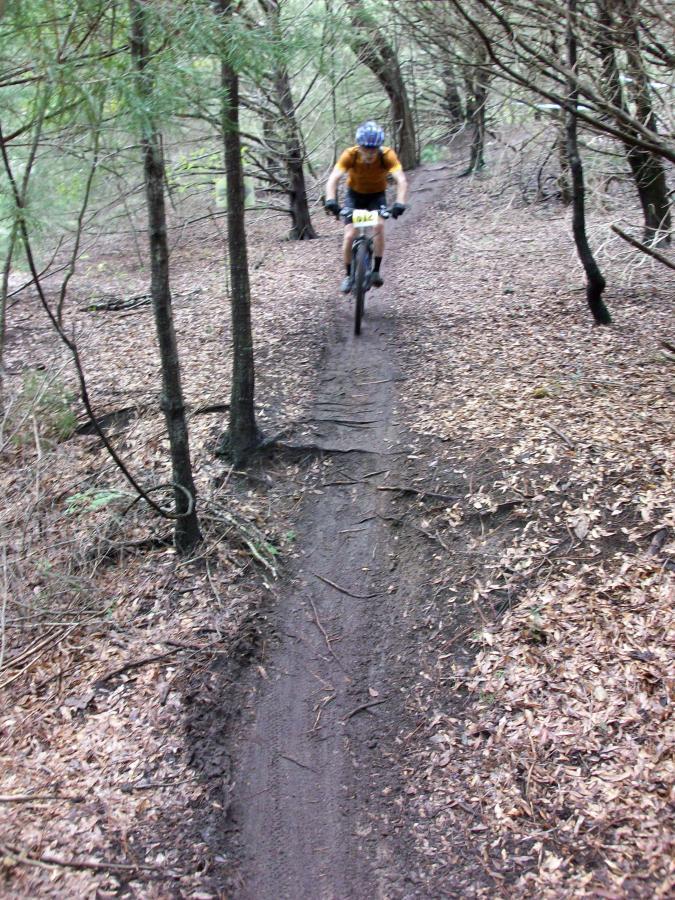 A mountain biker riding on a narrow dirt trail surrounded by trees, with fallen leaves on the ground. The biker is wearing a helmet and an orange shirt, captured mid-ride as they navigate the winding path through a forested area. Haile's Trails mountain bike trail.