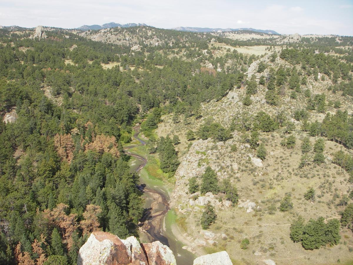 A panoramic view of a winding river surrounded by dense green forests and rugged terrain, with distant mountains visible in the background under a partly cloudy sky. The scene captures a mix of tree types, including patches of lighter-colored trees that suggest variations in foliage. Curt Gowdy State Park mountain bike trail.