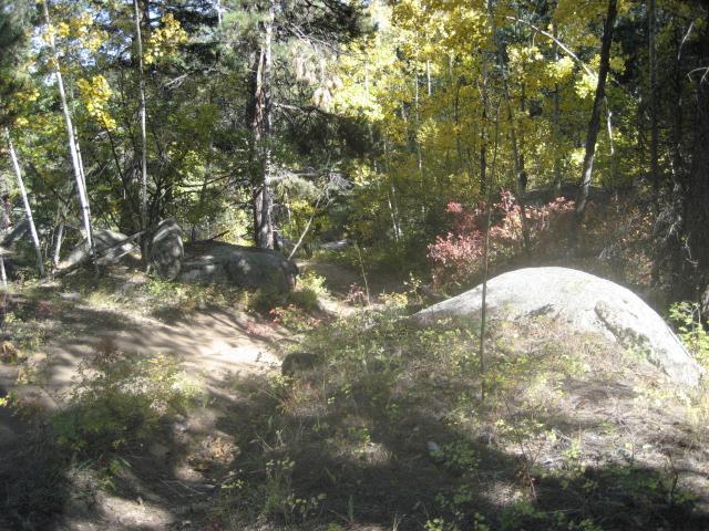Alt text: A wooded area featuring large rocks, surrounded by trees with green and yellow leaves, indicating a serene natural setting in autumn. Buffalo Creek mountain bike trail.