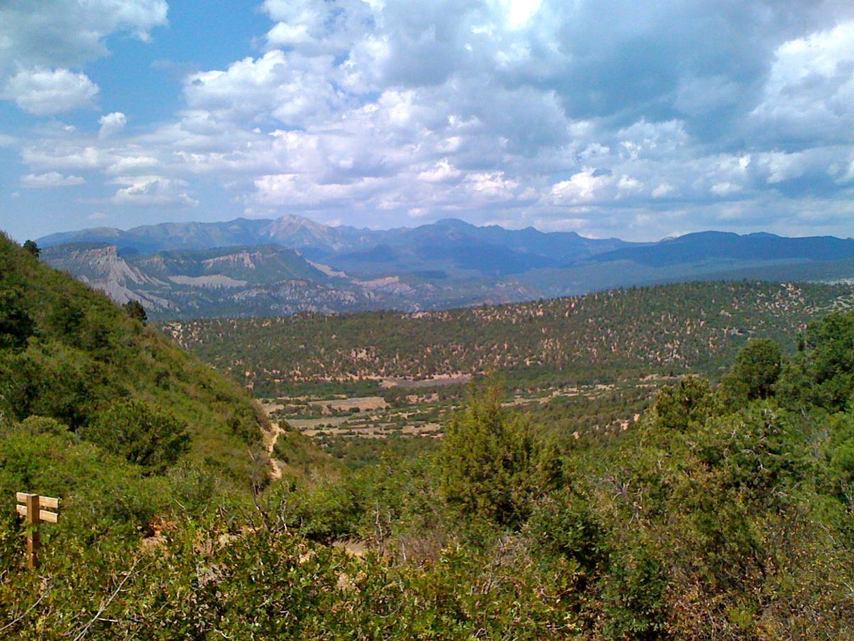 A scenic view of rolling hills and mountains under a partly cloudy sky. In the foreground, lush greenery and bushes line a trail, while the distant mountains display various layers of elevation and texture. The landscape conveys a sense of tranquility and natural beauty. Telegraph Trail System mountain bike trail.