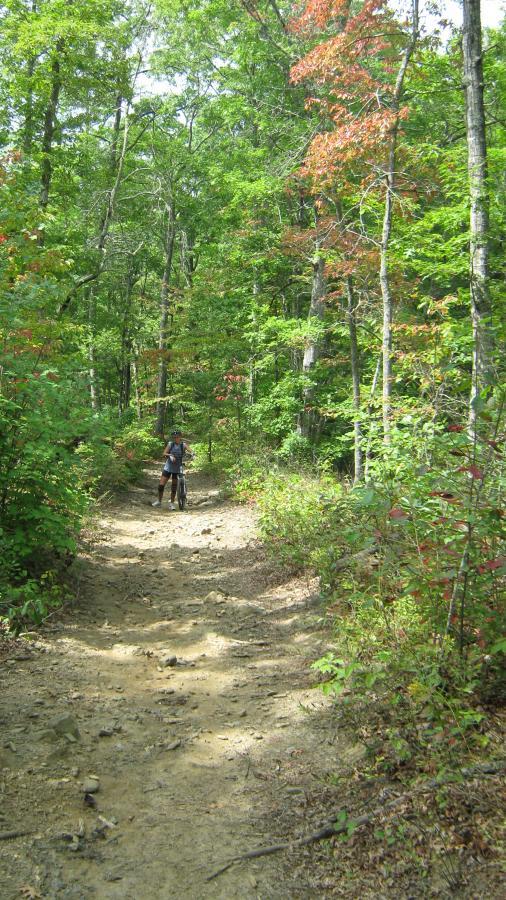 A hiker stands on a dirt trail surrounded by lush green trees with hints of autumn colors. The path is sandy and slightly uneven, leading into a dense forest filled with various shades of greenery and scattered leaves. Tsali Left Loop mountain bike trail.