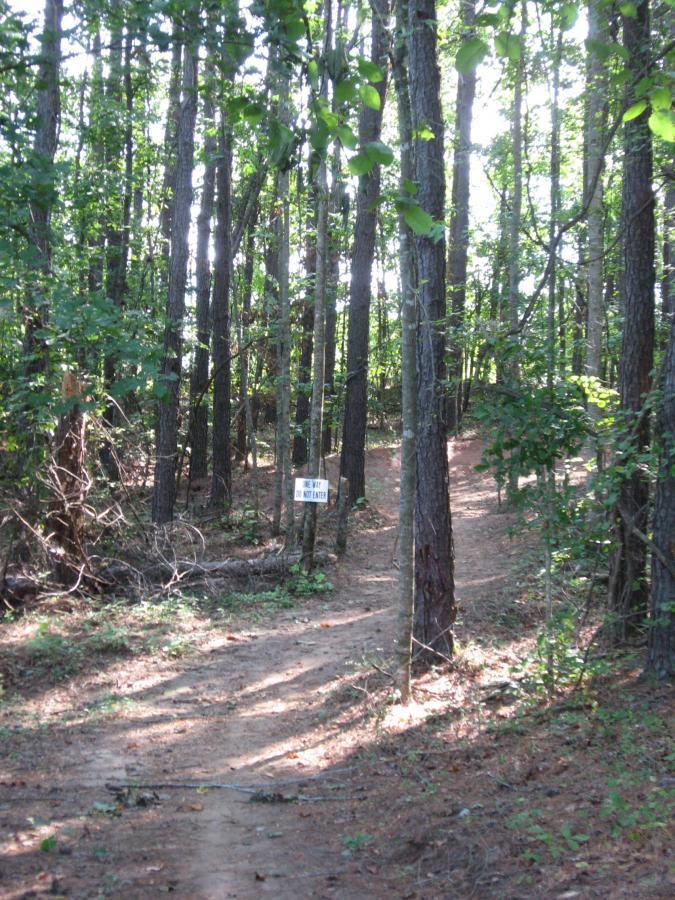 A sunlit forest path winding through tall trees, with a sign that reads "Do not enter" visible at the trail’s junction. The ground is covered in pine needles and foliage, with a mix of sunlight and shadows creating a tranquil atmosphere. Harbins Park mountain bike trail.