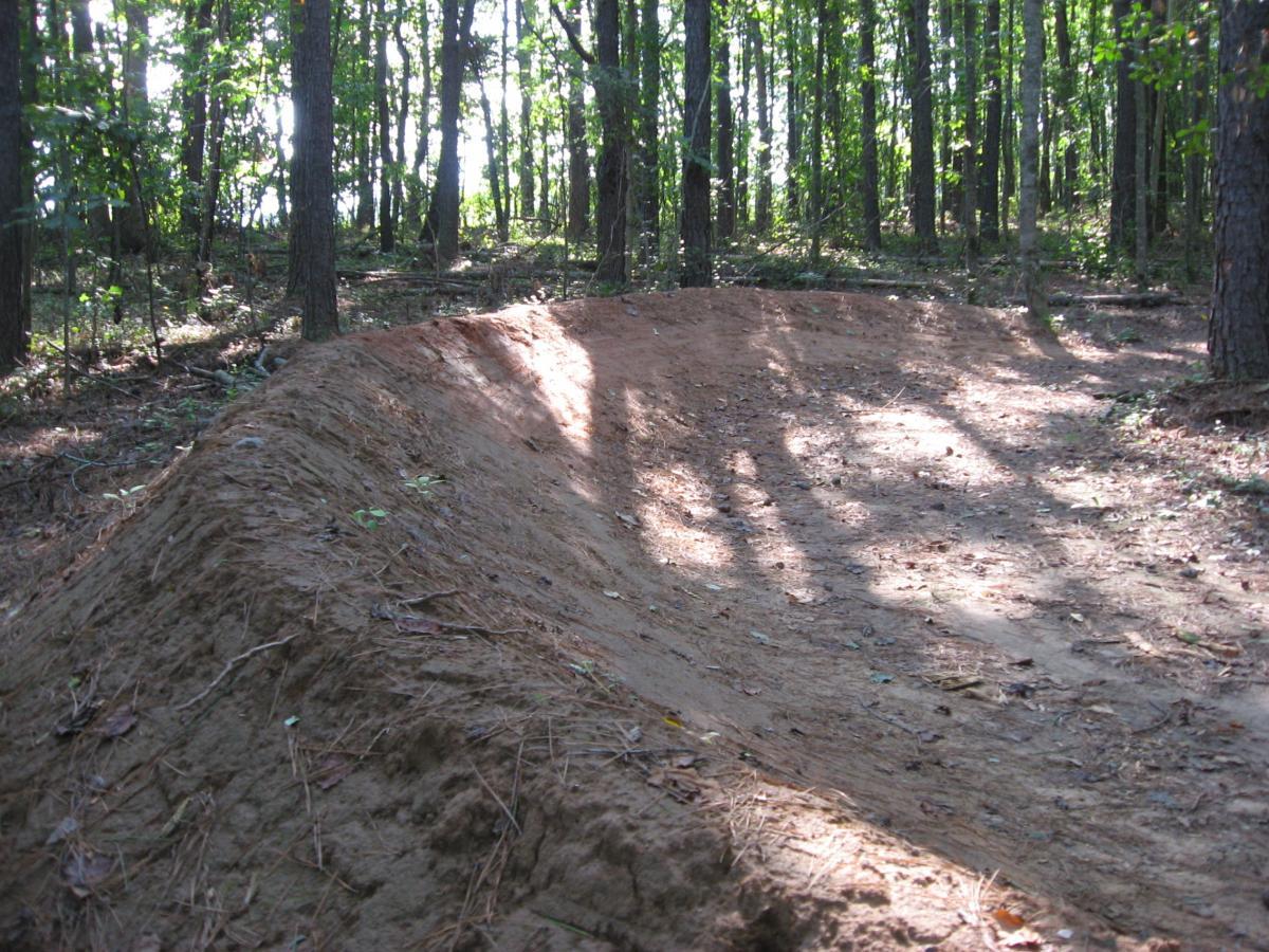 A dirt path curves through a wooded area, surrounded by tall trees. The sun filters through the leaves, casting shadows on the ground. The path appears well-maintained, with a smooth surface and slight elevation changes, suggesting it is used for biking or hiking. Pine needles and small leaves are scattered along the earth. Harbins Park mountain bike trail.
