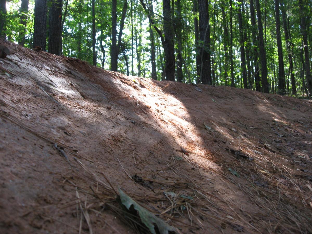 A sloped patch of reddish-brown earth covered with pine needles and small debris, surrounded by tall trees with green leaves in a forest setting. Sunlight filters through the canopy, creating soft shadows on the ground. Harbins Park mountain bike trail.