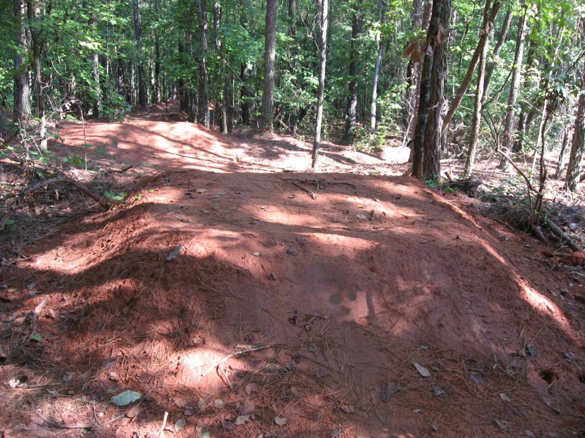 A dirt trail in a forest setting, featuring a small dirt ramp or jump surrounded by trees, with sunlight filtering through the foliage. The ground is reddish-brown and covered with pine needles and small leaves. The path appears well-used, suggesting it is frequented by mountain bikers or hikers. Harbins Park mountain bike trail.