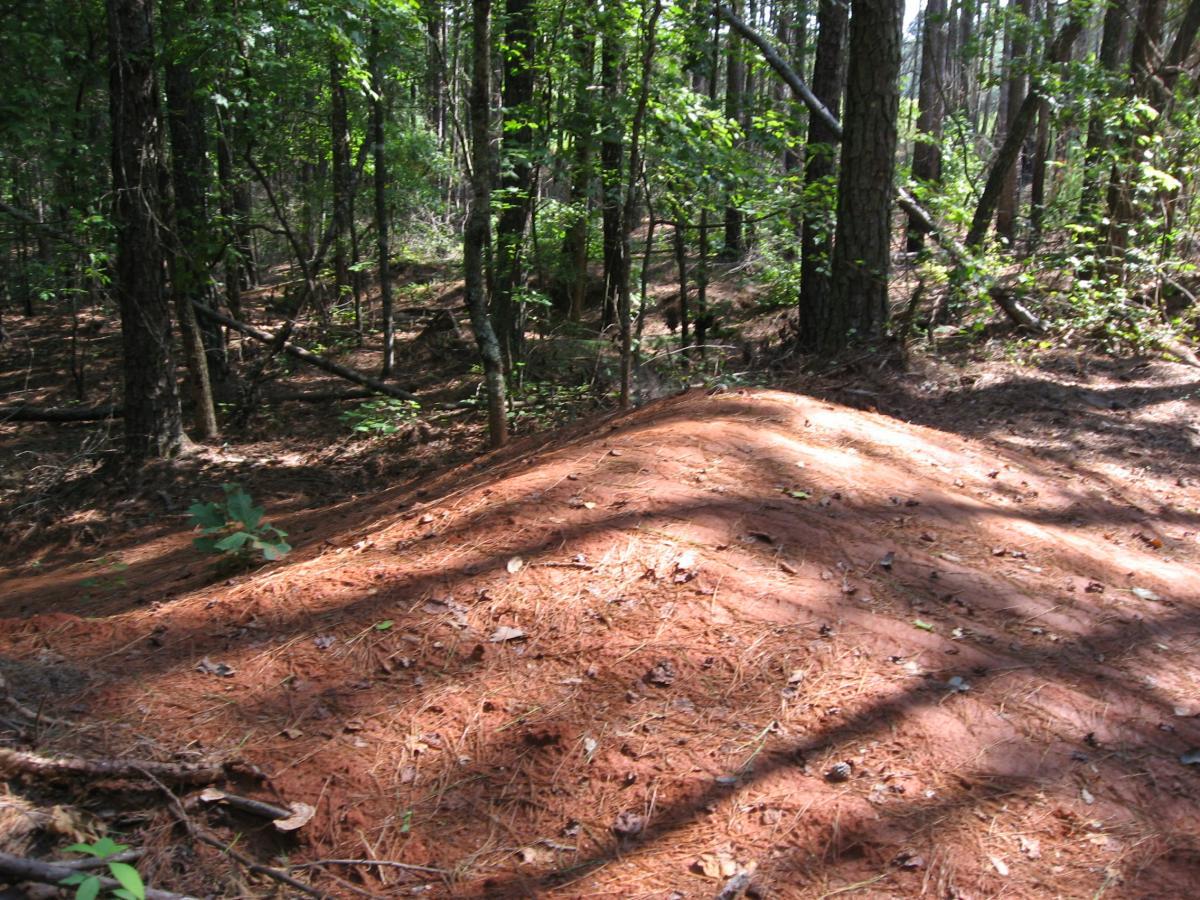 A small, sandy hill surrounded by trees in a dense forest, with sunlight filtering through the leaves and casting shadows on the ground covered in pine needles and small leaves. Harbins Park mountain bike trail.