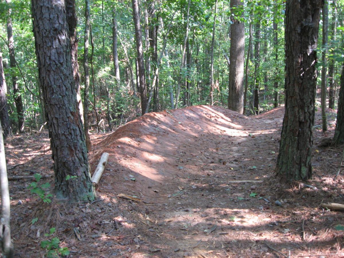 A winding dirt trail through a wooded area, flanked by tall trees and covered in pine needles. The trail has raised mounds of soil along its edges, indicating use for biking or hiking. Sunlight filters through the leaves, creating dappled patterns on the ground. Harbins Park mountain bike trail.