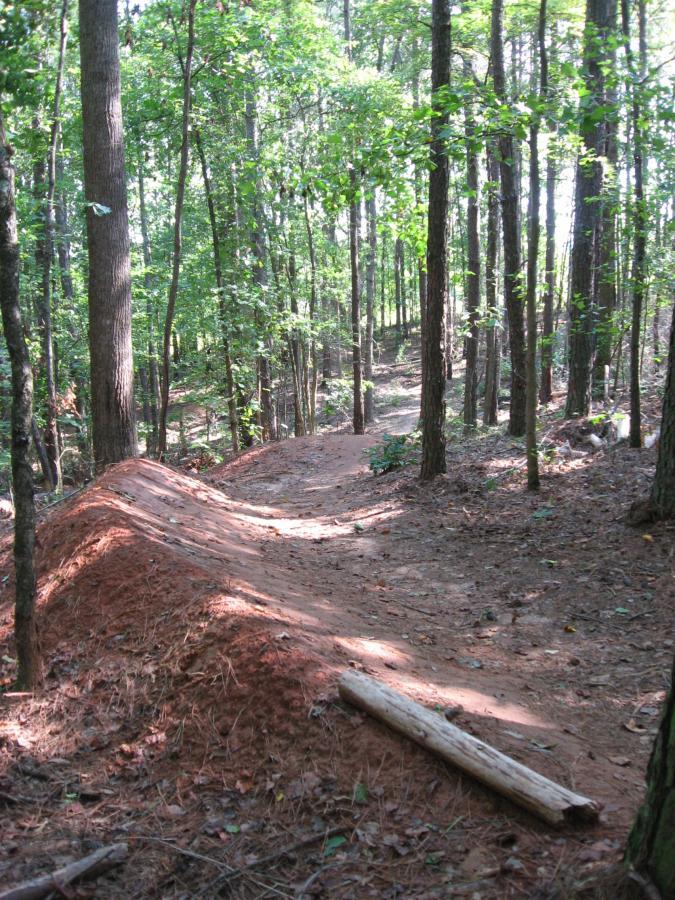 A dirt bike trail winding through a wooded area, featuring a small dirt jump and surrounded by tall trees and green foliage. The path is marked by reddish-brown soil and scattered leaves, indicating a natural and earthy trail environment. Harbins Park mountain bike trail.