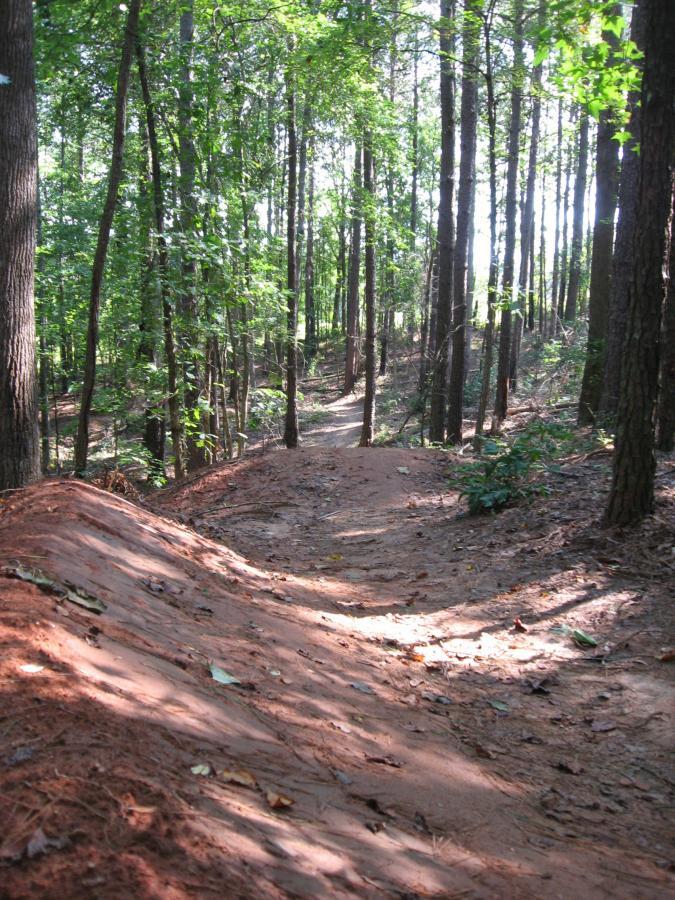 A winding dirt trail through a dense, sunlit forest, surrounded by tall trees and lush greenery. The path has a slight incline and is marked by reddish-brown soil, with patches of leaves scattered along the edges. Harbins Park mountain bike trail.