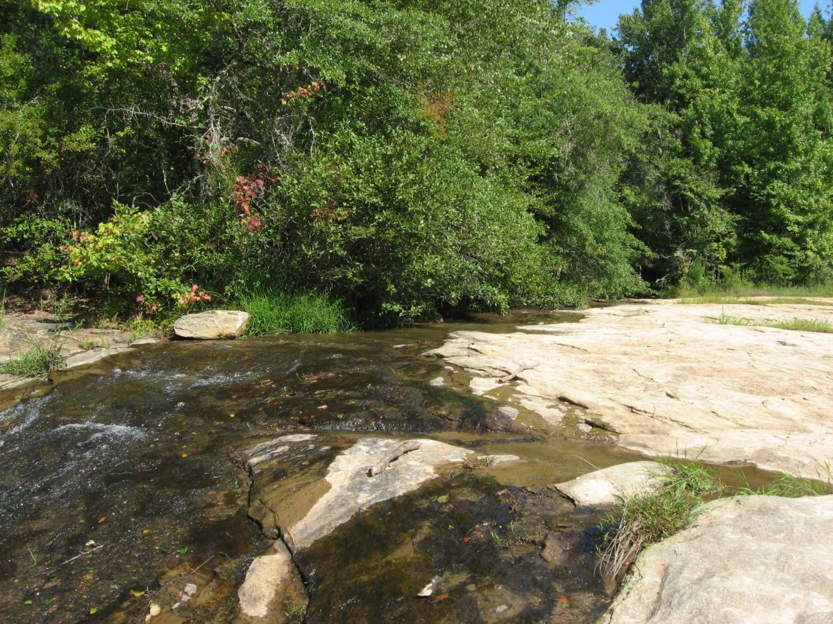 A serene landscape featuring a gentle stream flowing over smooth rocks, surrounded by lush greenery and trees under a clear blue sky. The scene captures the tranquility of nature with visible water ripples and patches of grass along the bank. Harbins Park mountain bike trail.