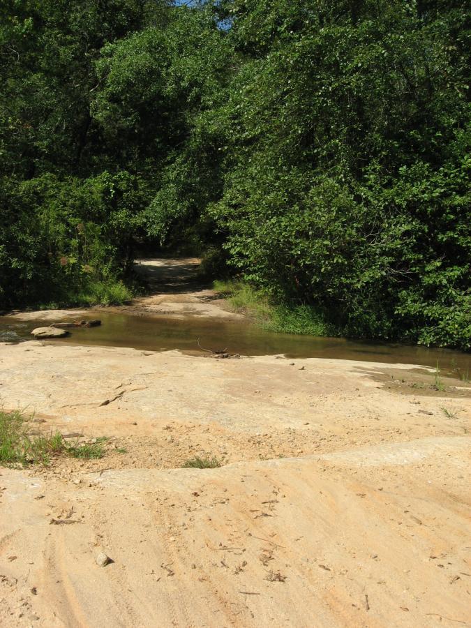 A dirt path surrounded by lush greenery, leading to a shallow water crossing, with sandy terrain and rocks visible. The scene is illuminated by sunlight filtering through the trees above. Harbins Park mountain bike trail.