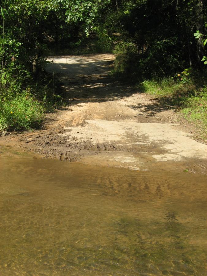 A dirt path leading through a wooded area, ending at a shallow stream with clear water. Lush greenery surrounds the path, and the scene is illuminated by sunlight filtering through the trees. Harbins Park mountain bike trail.