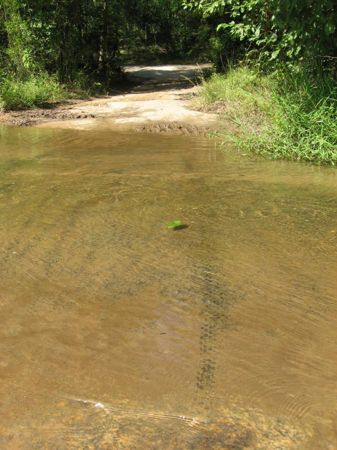 A shallow, muddy water body reflecting the surrounding greenery, with a small leaf floating on the surface. In the background, a dirt path winds through trees and vegetation. Harbins Park mountain bike trail.