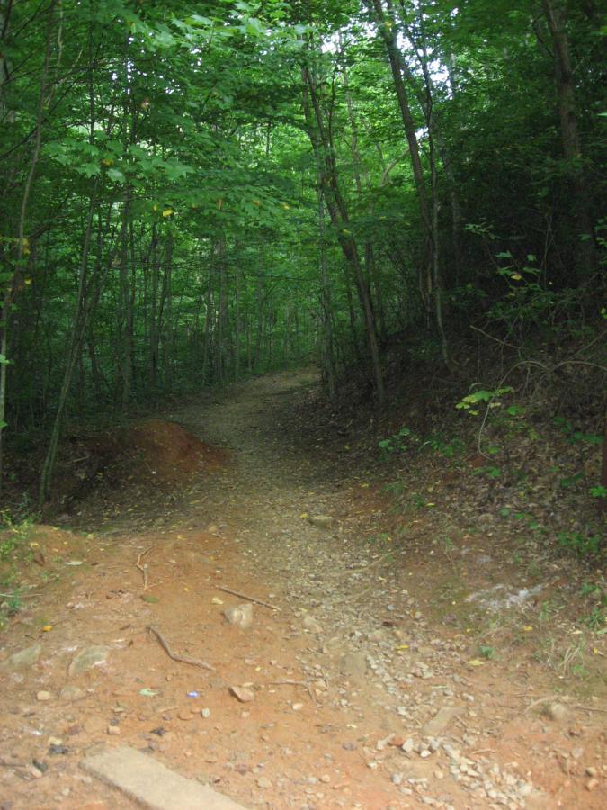 A narrow, winding dirt path through a dense forest of green trees, with patches of sunlight filtering through the leaves. The ground is a mix of gravel and earthy soil, surrounded by foliage and natural underbrush. Stanley Gap mountain bike trail.