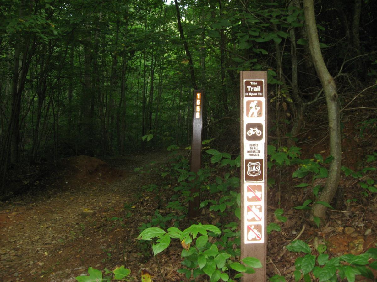 Trail marker in a dense forest, indicating that the trail is open for hiking and biking, with signs prohibiting motorized vehicles. The path diverges into the woods, surrounded by lush green foliage. Flat Creek Loop mountain bike trail.