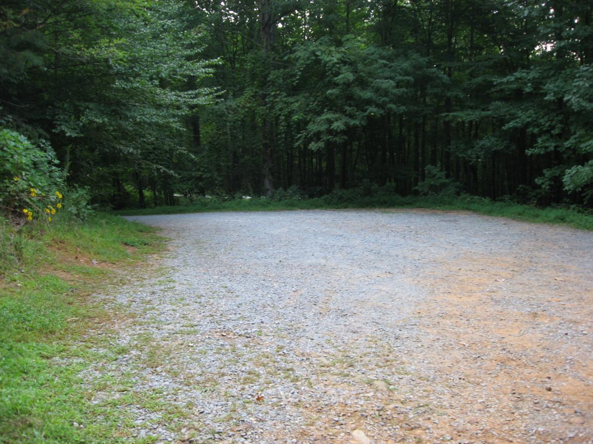 A gravel driveway winding through a wooded area, surrounded by greenery. Sunlight filters through the trees, creating a peaceful, natural setting. Flat Creek Loop mountain bike trail.