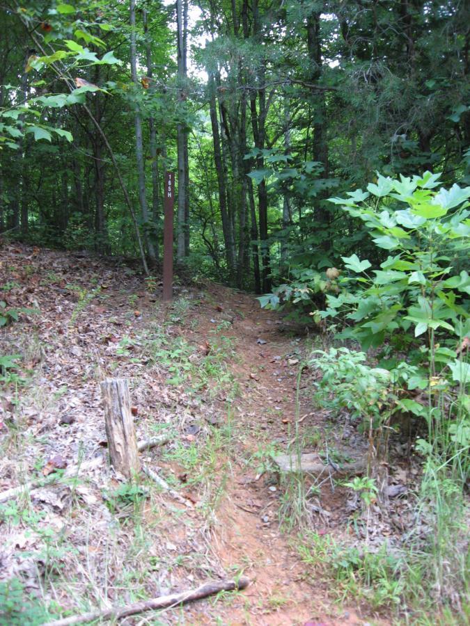A dirt trail leading into a dense forest, with a brown signpost visible on the left. The trail is surrounded by greenery, including small plants and trees, with fallen leaves scattered on the ground. Sunlight filters through the tree canopy, creating a tranquil outdoor scene. Stanley Gap mountain bike trail.