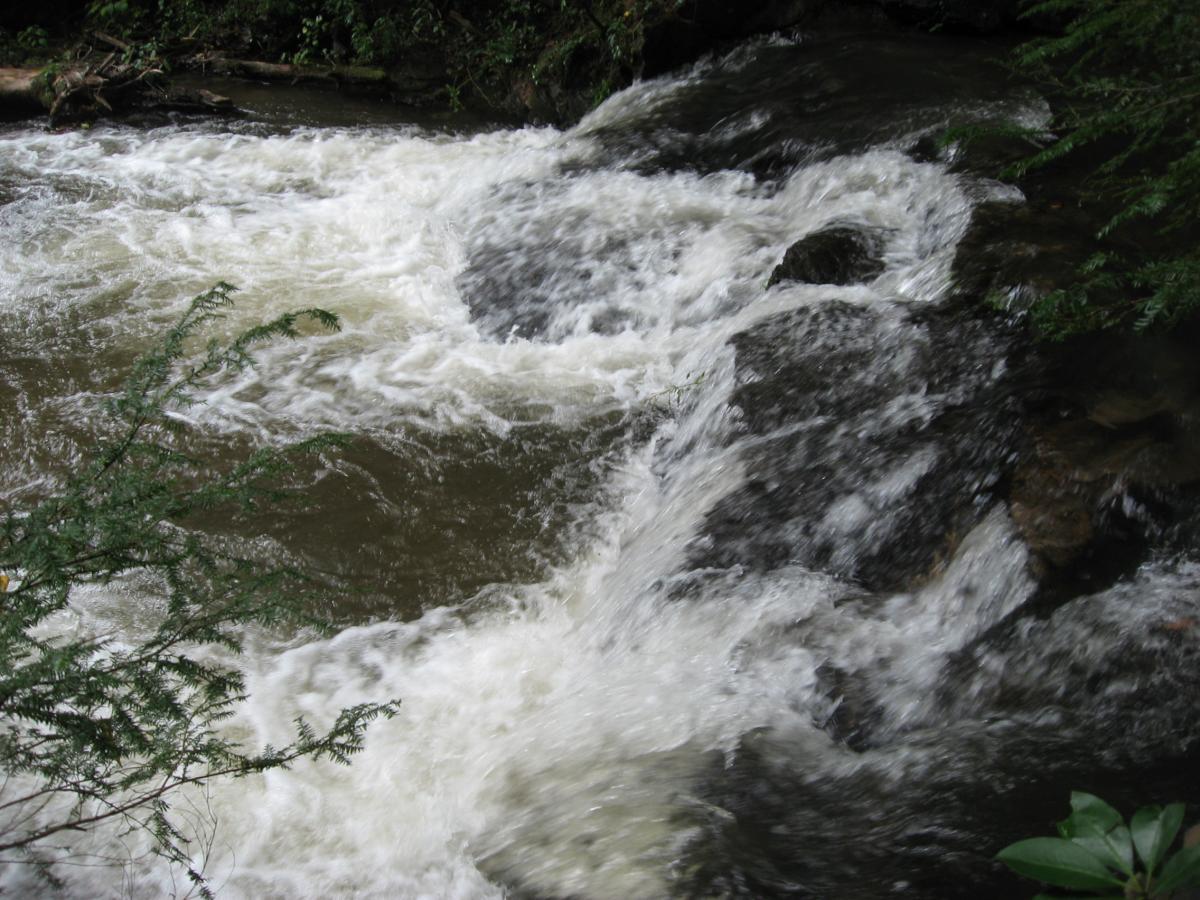 Rushing water flows over a rocky surface in a forested area, surrounded by greenery. The water appears frothy and rapid, creating a natural, tranquil scene. Montgomery Creek Trail mountain bike trail.