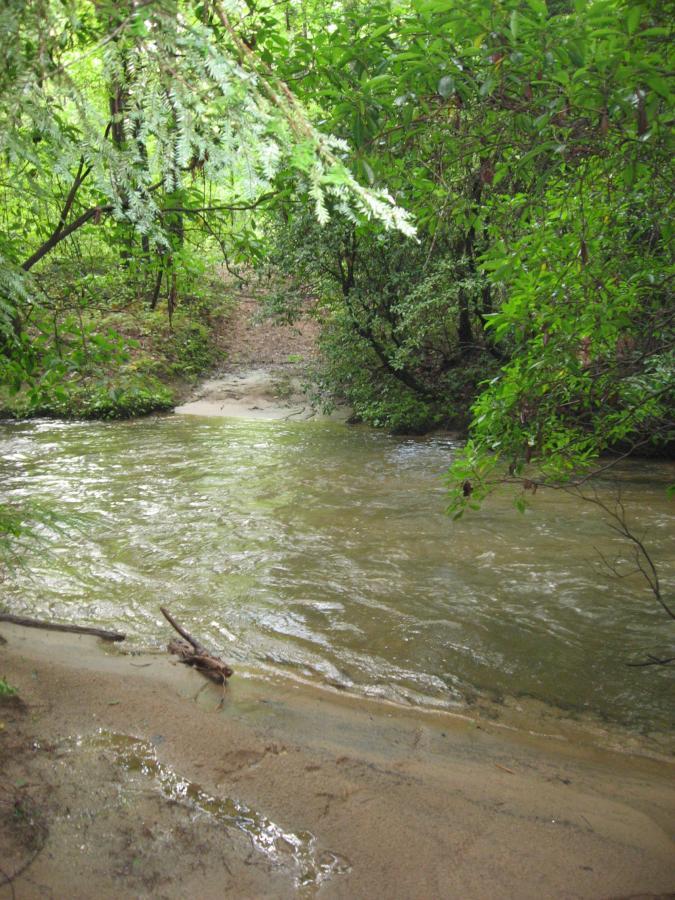 A serene view of a small river flowing gently through a lush, green forest. The water reflects the surrounding foliage, and sandy banks can be seen along the edges, with leaves and branches framing the scene. Montgomery Creek Trail mountain bike trail.
