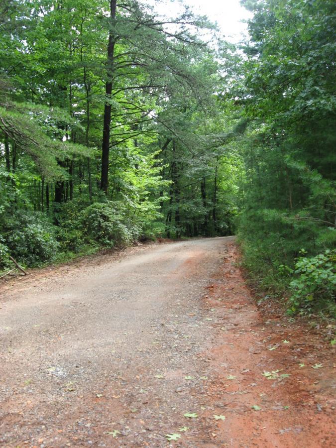 A winding gravel path surrounded by lush green trees and foliage, leading into a forested area. The ground is slightly reddish and covered with fallen leaves, suggesting a natural and serene outdoor setting. Montgomery Creek Trail mountain bike trail.