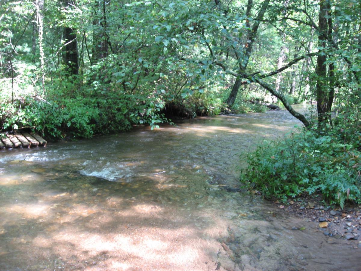 A serene view of a gently flowing creek surrounded by lush green vegetation and trees, with sunlight filtering through the leaves. The water is clear and shallow, reflecting the natural beauty of the landscape. A wooden structure is partially visible on the left side, suggesting a path or bridge alongside the creek. Montgomery Creek Trail mountain bike trail.