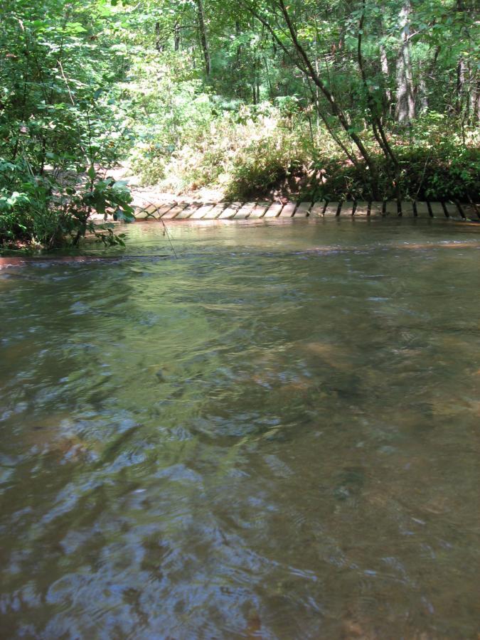 A serene view of clear water flowing gently along a forested bank, with lush green foliage surrounding the scene. The sunlight filters through the trees, creating a dappled pattern on the water's surface, and a wooden structure can be seen partially submerged in the shallows on the right. Montgomery Creek Trail mountain bike trail.