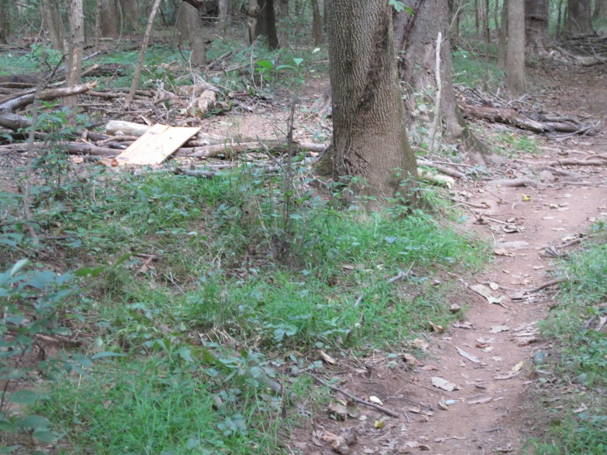A narrow dirt path winds through a wooded area, surrounded by tall trees and patches of green grass. In the background, a pile of branches and a wooden board are visible on the ground, suggesting previous activity in the area. The scene is peaceful and natural, with fallen leaves scattered on the ground. Copper Creek mountain bike trail.
