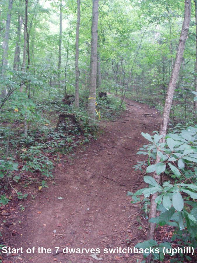A dirt trail leading uphill through a dense, green forest, marked as the start of the "7 Dwarves switchbacks." Lush foliage and small trees frame the path, while a few tree stumps are visible along the trail. Youngers Creek mountain bike trail.