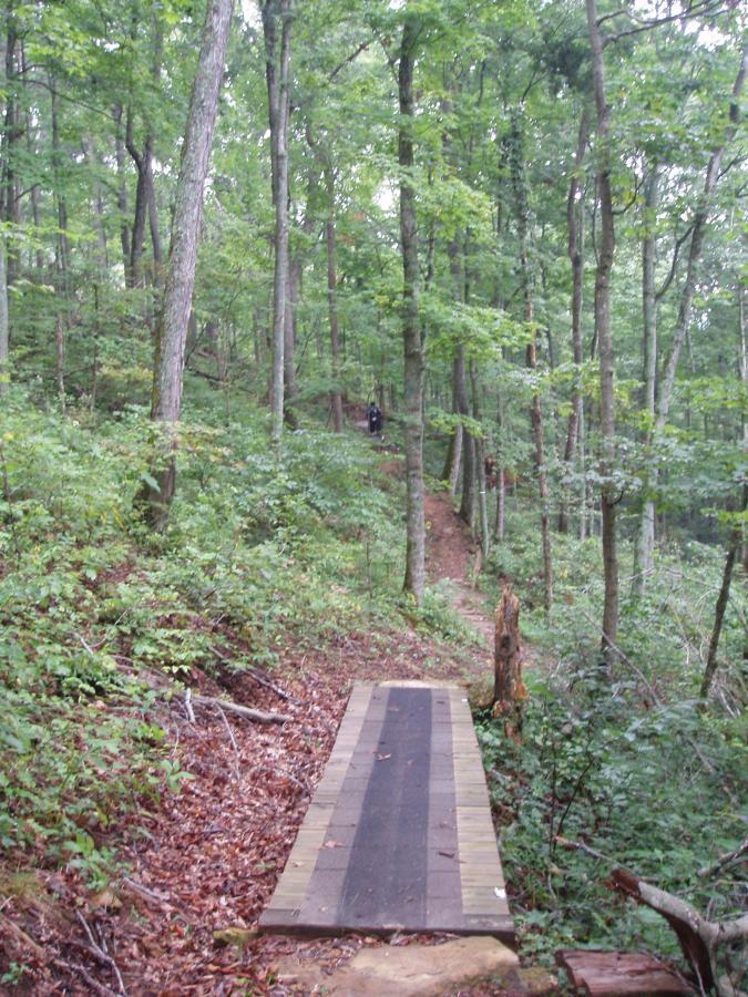 A forest path featuring a wooden bridge crossing over a small area of foliage and leaf litter, with tall trees surrounding the area, indicating a lush, green environment. A hiking trail is visible in the background, leading deeper into the woods. Youngers Creek mountain bike trail.
