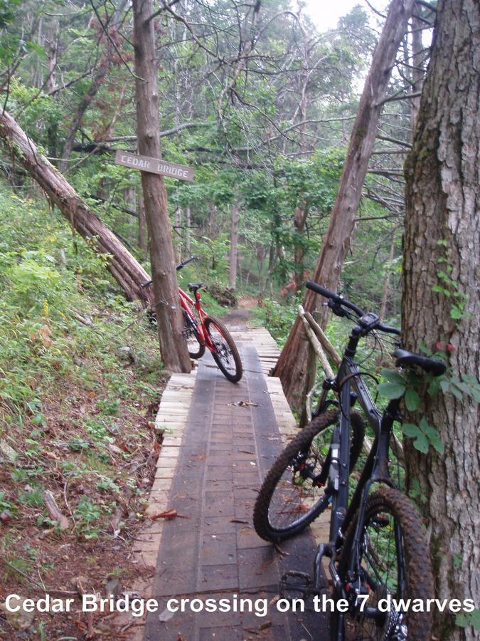 A wooden bike path leading to Cedar Bridge, surrounded by lush greenery. Two bicycles, one red and one black, are parked on either side of the path. A sign labeled "Cedar Bridge" is visible in the background, indicating the crossing location on a trail known as "7 Dwarves." Youngers Creek mountain bike trail.