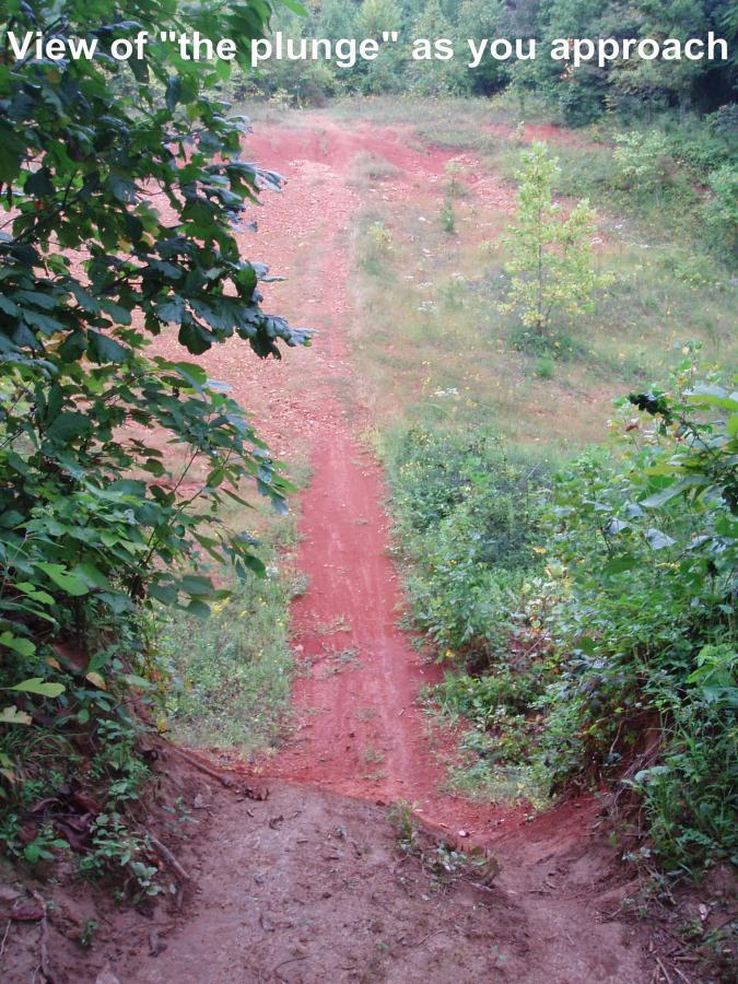 A steep dirt slope known as "the plunge," surrounded by greenery, leading down to a red clay path. The view captures the descent as one approaches the edge, highlighting the natural terrain and vegetation on either side. Youngers Creek mountain bike trail.
