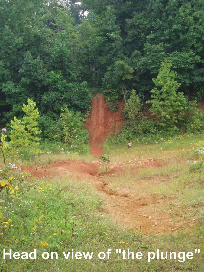 Head-on view of a dirt ramp, known as "the plunge," leading down a sloped terrain surrounded by greenery. The ramp features a steep decline, with reddish soil and scattered wildflowers visible in the foreground. Lush trees line the background, providing a natural setting. Youngers Creek mountain bike trail.