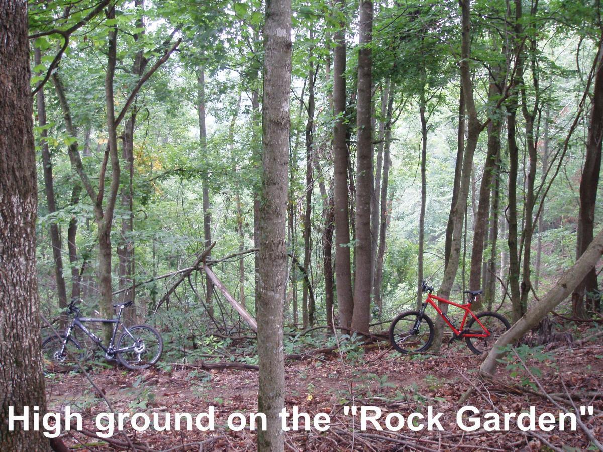 Two mountain bikes are parked on a wooded hillside known as the "Rock Garden," surrounded by tall trees and dense greenery. The scene captures a serene outdoor environment, with fallen leaves and natural debris on the forest floor. Youngers Creek mountain bike trail.