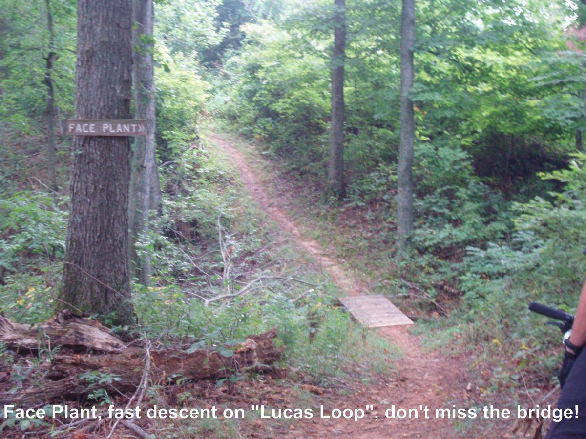 Sign marking the trail "Face Plant" on the Lucas Loop, with a narrow dirt path winding through a wooded area. A wooden bridge can be seen ahead, surrounded by greenery and trees. Youngers Creek mountain bike trail.