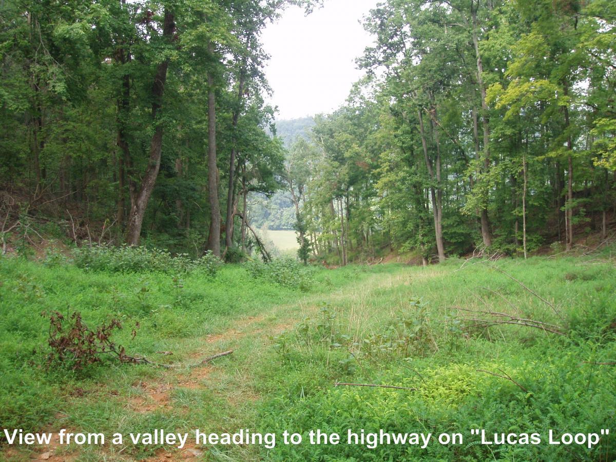A scenic view of a grassy valley surrounded by tall trees, leading toward a distant highway. The pathway, visible in the foreground, winds through lush greenery, indicating a natural trail within the landscape known as "Lucas Loop." Youngers Creek mountain bike trail.