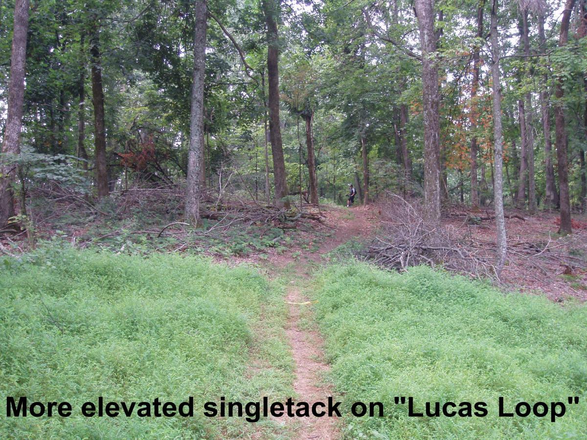A narrow, elevated singletrack trail winds through a dense forest, surrounded by lush greenery and tall trees. Piles of fallen branches are present along the path, and a hiker can be seen in the background. The image is labeled "More elevated singletrack on 'Lucas Loop'." Youngers Creek mountain bike trail.