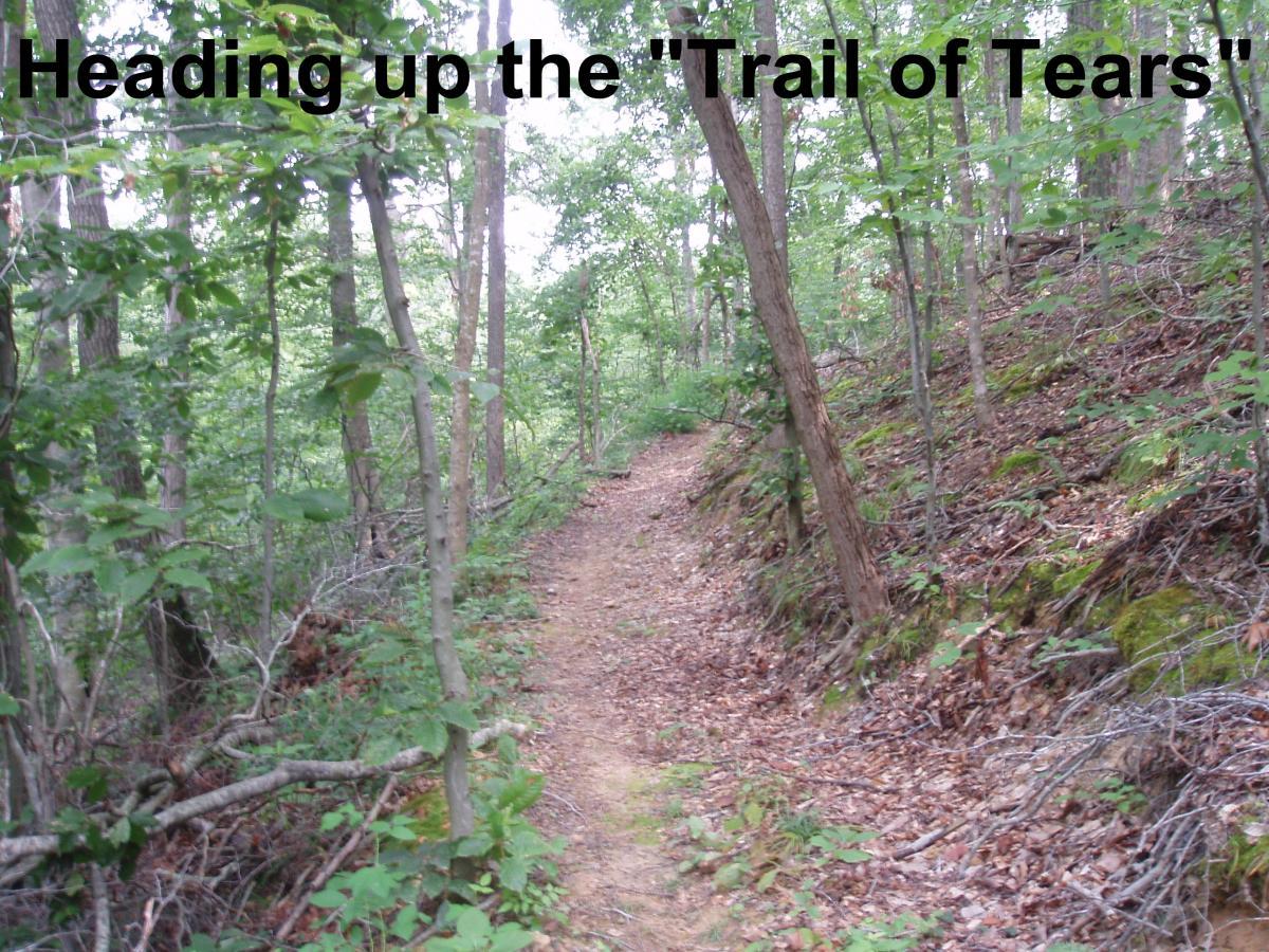 A narrow, winding dirt path running through a densely wooded area, surrounded by trees and greenery, with the text "Heading up the 'Trail of Tears'" prominently displayed at the top. Youngers Creek mountain bike trail.