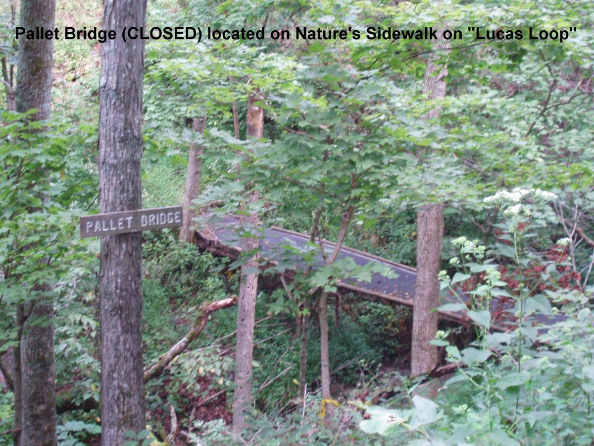 Pallet Bridge sign indicating the bridge is closed, surrounded by trees and lush greenery on Nature's Sidewalk along the "Lucas Loop." Youngers Creek mountain bike trail.
