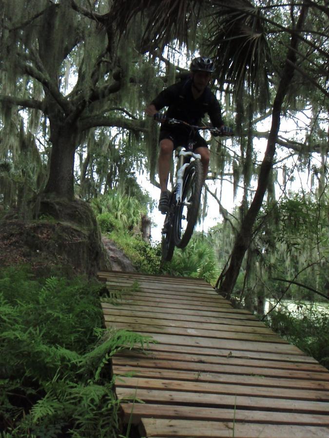 A mountain biker in a black helmet and gear jumps off a wooden ramp in a wooded area, surrounded by lush green ferns and trees draped with Spanish moss. The rider is mid-air, showcasing an adventurous moment while mountain biking through a natural trail. Loyce E. Harpe Park mountain bike trail.