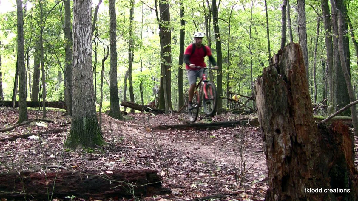 A mountain biker in a red shirt and helmet rides over a narrow wooden trail in a lush green forest. Sunlight filters through the trees, casting dappled shadows on the ground covered with fallen leaves and branches. Schaeffer Farms mountain bike trail.