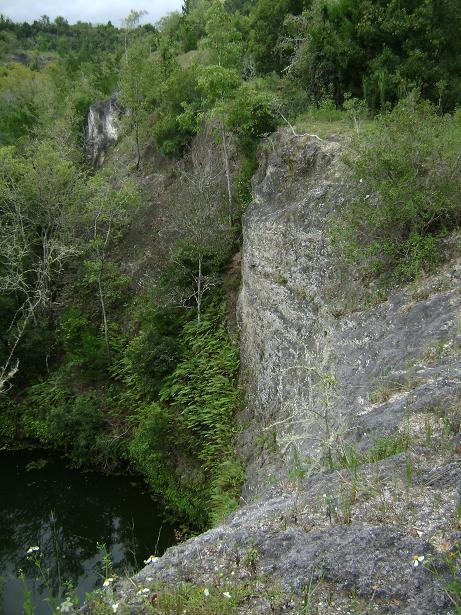 Rocky cliff edge overlooking a small, secluded pond surrounded by lush greenery and trees. The landscape features steep rock formations and vegetation, reflecting a natural, tranquil environment. Haile's Trails mountain bike trail.