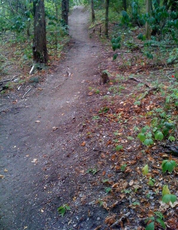 A winding dirt path through a forest, surrounded by trees and scattered fallen leaves. Lush green plants line the sides of the trail, leading to a gentle incline ahead. Big Cedar Wilderness Trails mountain bike trail.