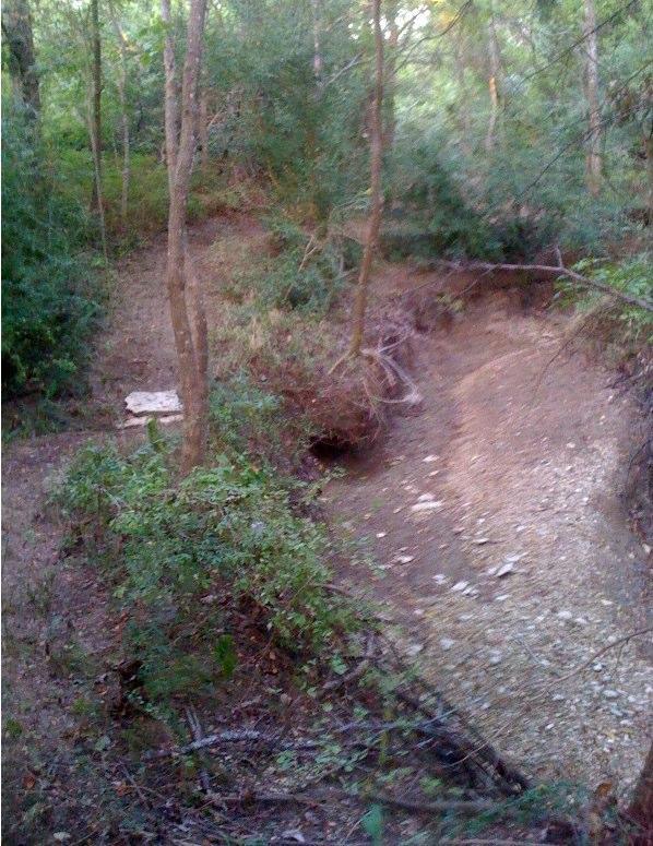 A wooded area with a dry creek bed running through the center, surrounded by trees and dense foliage. The creek bed is rocky and partially covered in dirt, with a small, flat stone visible on the left side. The landscape appears natural and lush, indicating a rural setting. Big Cedar Wilderness Trails mountain bike trail.