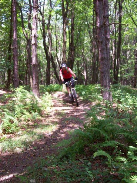 A mountain biker navigating a dirt path through a dense forest, surrounded by tall trees and green ferns. The rider is wearing a helmet and a red tank top, showcasing an active outdoor lifestyle. Big Bear Lake Trail Center mountain bike trail.