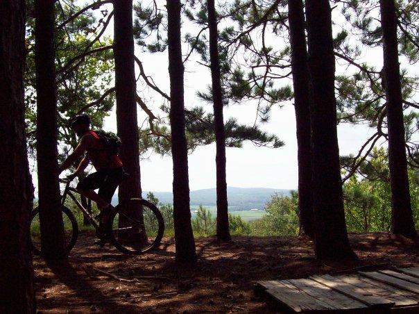 A cyclist rides a mountain bike through a forest of tall pine trees, with a distant view of rolling hills in the background. The image captures the play of light and shadow created by the trees, adding a sense of adventure to the scene. Big Bear Lake Trail Center mountain bike trail.