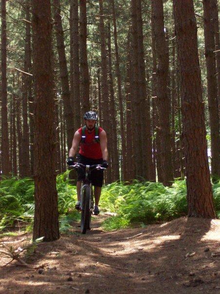 A cyclist riding a mountain bike along a narrow dirt path in a forest. Tall pine trees rise on either side, and lush green ferns grow along the ground. The cyclist is wearing a red sleeveless shirt, a helmet, and is focused on the trail ahead. Sunlight filters through the trees, creating a dappled light effect on the ground. Big Bear Lake Trail Center mountain bike trail.