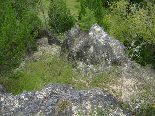 A rocky outcrop surrounded by lush green vegetation, featuring irregularly shaped rocks and patches of grass. The scene captures a natural landscape with trees in the background, indicating a rural or wild setting. Haile's Trails mountain bike trail.